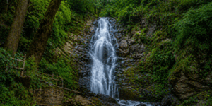 shimla tourist places