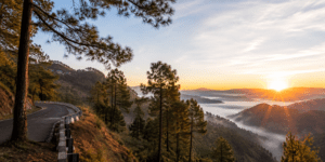 kasoli himachal
