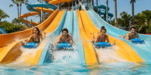 Water Park