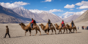 leh ladakh tour packages