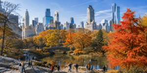 new york