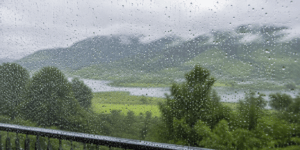 raindrops