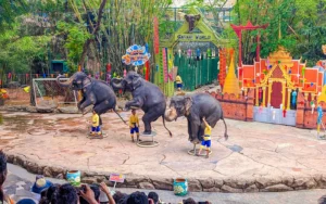 Safari World
