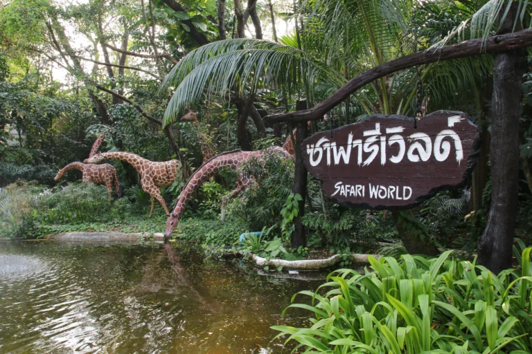 Safari World